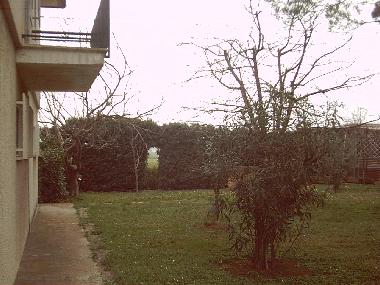 Maison de vacances �/en/au Savignano sul Rubicone (Rimini)ou appartement ou maison de vacances