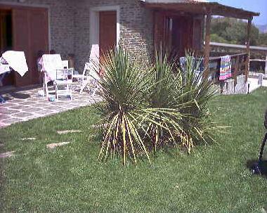 Maison de vacances �/en/au Stintino (Sassari)ou appartement ou maison de vacances