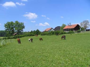 Maison de vacances �/en/au Oberwil-Lieli (Z�rich)ou appartement ou maison de vacances