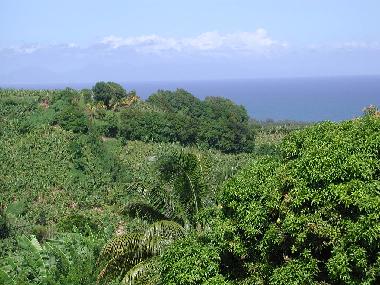 Maison de vacances �/en/au Le Lorrain (Martinique)ou appartement ou maison de vacances