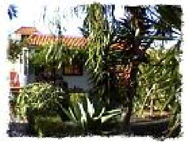 Appartement de vacances �/en/au La Pama (La Palma und El Hierro)ou appartement ou maison de vacances