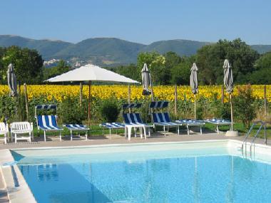 La piscine