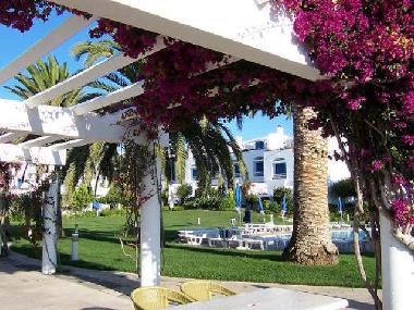 Appartement de vacances �/en/au Albufeira (Algarve)ou appartement ou maison de vacances