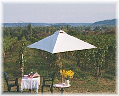 Appartement de vacances �/en/au Ste Foy La Grande (Gironde)ou appartement ou maison de vacances