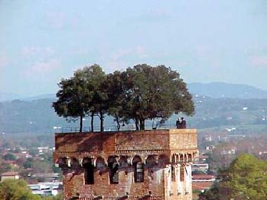 Chambre avec petit d�jeuner �/en/au Lucca (Lucca)ou appartement ou maison de vacances