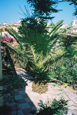Maison de vacances �/en/au 12 miles from Torrevieja (Alicante / Alacant)ou appartement ou maison de vacances