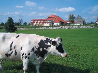 Appartement de vacances �/en/au Ravensburg (Bodensee)ou appartement ou maison de vacances