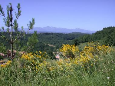 Maison de vacances �/en/au Sonnac (Aude)ou appartement ou maison de vacances