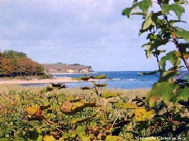 Appartement de vacances �/en/au Ostseebad Boltenhagen/OT Redewisch (Mecklenburgische Ostseek�ste)ou appartement ou maison de vacances