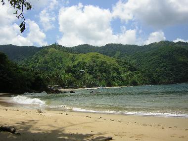 Appartement de vacances �/en/au Castara (Tobago)ou appartement ou maison de vacances