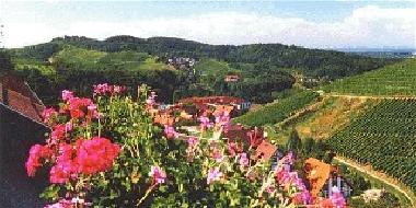 Appartement de vacances �/en/au Sasbachwalden (Schwarzwald)ou appartement ou maison de vacances