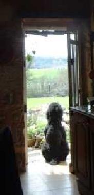 Chambre avec petit d�jeuner �/en/au Ste Sabine Born (Dordogne)ou appartement ou maison de vacances