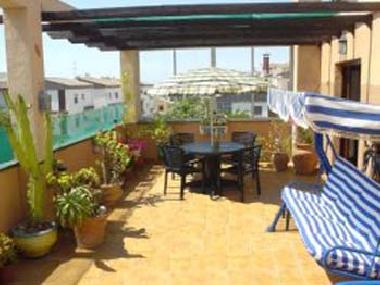 Appartement de vacances �/en/au Punta Prima (Alicante / Alacant)ou appartement ou maison de vacances