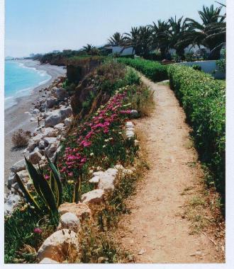 Maison de vacances �/en/au Benicarlo (Castell�n / Castell�)ou appartement ou maison de vacances