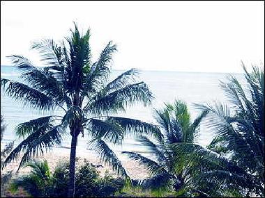 Appartement de vacances �/en/au cairns (Queensland)ou appartement ou maison de vacances