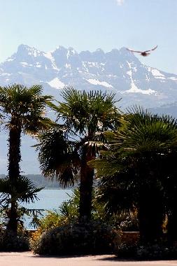 Appartement de vacances �/en/au Les Monts-de-Corsier (Montreux-Vevey)ou appartement ou maison de vacances