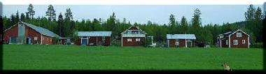 Maison de vacances �/en/au Bjur�ker (H�lsingland)ou appartement ou maison de vacances