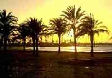 Appartement de vacances �/en/au Playa de Palma (Mallorca)ou appartement ou maison de vacances