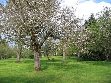 Location de vacances �/en/au Amondans (Doubs) ou des locations de vacances 