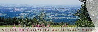 Chambre avec petit d�jeuner �/en/au Bischofsmais/Habischried (Niederbayern)ou appartement ou maison de vacances
