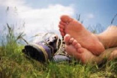 Chambre avec petit d�jeuner �/en/au Bischofsmais/Habischried (Niederbayern)ou appartement ou maison de vacances