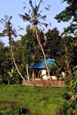 Maison de vacances �/en/au Amlapura  (Bali)ou appartement ou maison de vacances