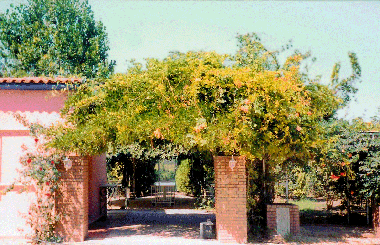 Maison de vacances �/en/au Gastoune (Ileia)ou appartement ou maison de vacances