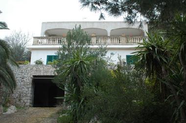 Maison de vacances �/en/au Tricase Porto (Lecce)ou appartement ou maison de vacances