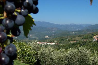 Maison de vacances �/en/au lorano (Massa-Carrara)ou appartement ou maison de vacances