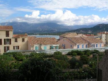 Appartement de vacances �/en/au Calvi (Haute-Corse)ou appartement ou maison de vacances