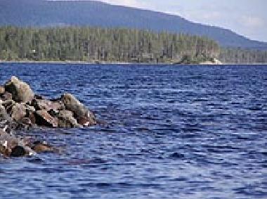 Maison de vacances �/en/au Lofsdalen (H�rjedalen)ou appartement ou maison de vacances