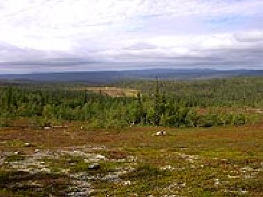 Maison de vacances �/en/au Lofsdalen (H�rjedalen)ou appartement ou maison de vacances