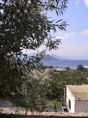 Maison de vacances �/en/au Marathonas Aegina (Attiki)ou appartement ou maison de vacances