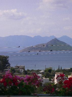 Maison de vacances �/en/au Marathonas Aegina (Attiki)ou appartement ou maison de vacances