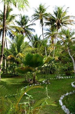 Maison de vacances �/en/au Velha Boipeba (Bahia)ou appartement ou maison de vacances