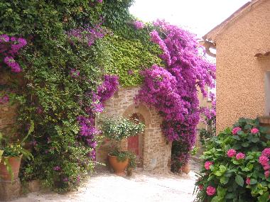 Maison de vacances �/en/au St.Tropez, Port Grimaud (Var)ou appartement ou maison de vacances