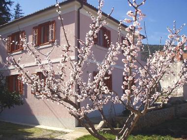 Appartement de vacances �/en/au Veli Losinj (Primorsko-Goranska)ou appartement ou maison de vacances