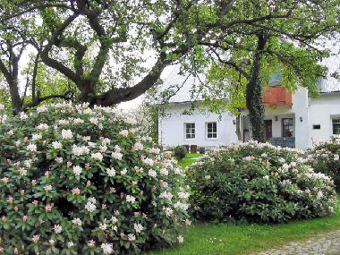 Maison de vacances �/en/au Zachełmie (Dolnoslaskie)ou appartement ou maison de vacances