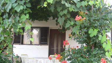 Appartement de vacances �/en/au Jelsa (Splitsko-Dalmatinska)ou appartement ou maison de vacances