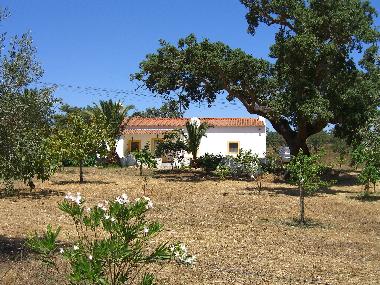 Maison de vacances �/en/au Casas Novas / Cercal do Alentejo (Alentejo Litoral)ou appartement ou maison de vacances