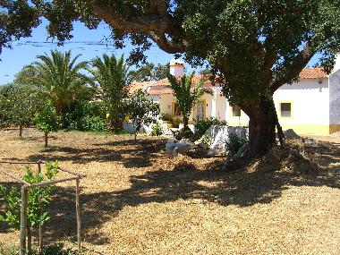 Maison de vacances �/en/au Casas Novas / Cercal do Alentejo (Alentejo Litoral)ou appartement ou maison de vacances