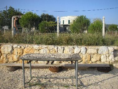Maison de vacances �/en/au Bibinje Zadar (Zadarska)ou appartement ou maison de vacances