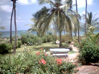 Chambre avec petit d�jeuner �/en/au Las Galeras (Samana)ou appartement ou maison de vacances