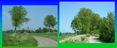 Chalet �/en/au Baarland (Zeeland)ou appartement ou maison de vacances