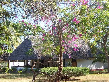 Appartement de vacances �/en/au Diani Beach P.O.Box 143 Ukunda (Coast)ou appartement ou maison de vacances