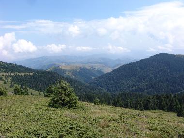 Chambre avec petit d�jeuner �/en/au Brzece (Srbija (Serbia))ou appartement ou maison de vacances