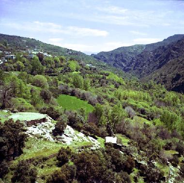 Maison de vacances �/en/au Pitres (Granada)ou appartement ou maison de vacances
