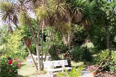 Le jardin