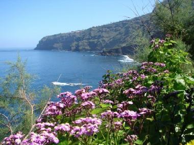 Appartement de vacances �/en/au La Orotava - El Rinc�n (Teneriffa)ou appartement ou maison de vacances
