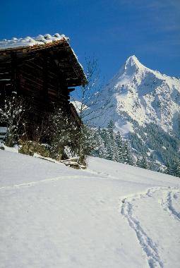 Appartement de vacances �/en/au Mayrhofen Ginzling (Tiroler Unterland)ou appartement ou maison de vacances